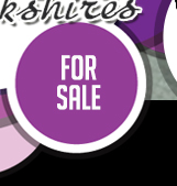 For Sale